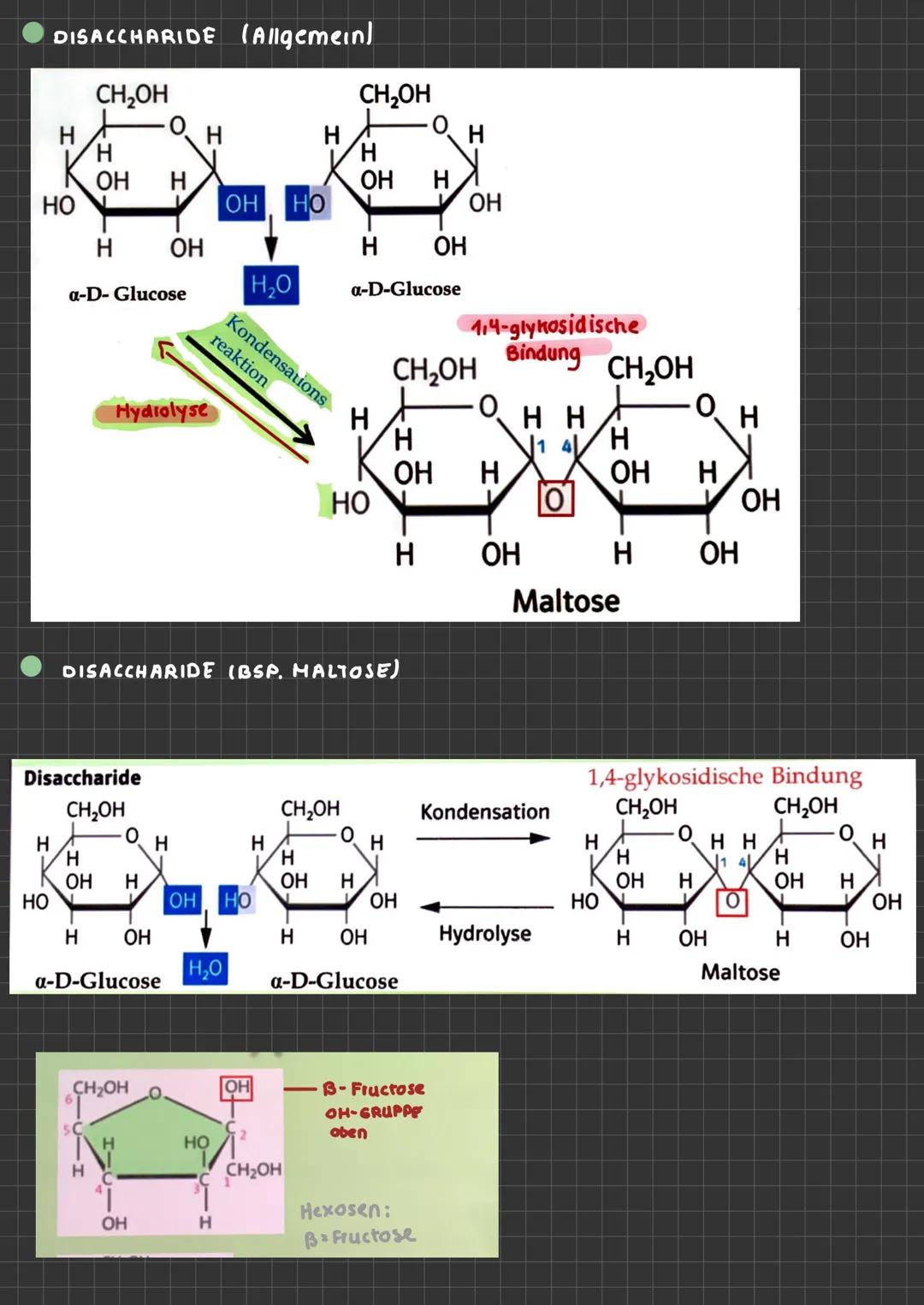 ABLAUF EINER ENZYHATISCHEN KATALYSIERTEN REAKTION
aktives
Zentrum
ENZYMATIK
$4
S
E
A+B
Enzym E+ Substrat S
ENZYME-WERKZEUGE DER ZELLE Was si