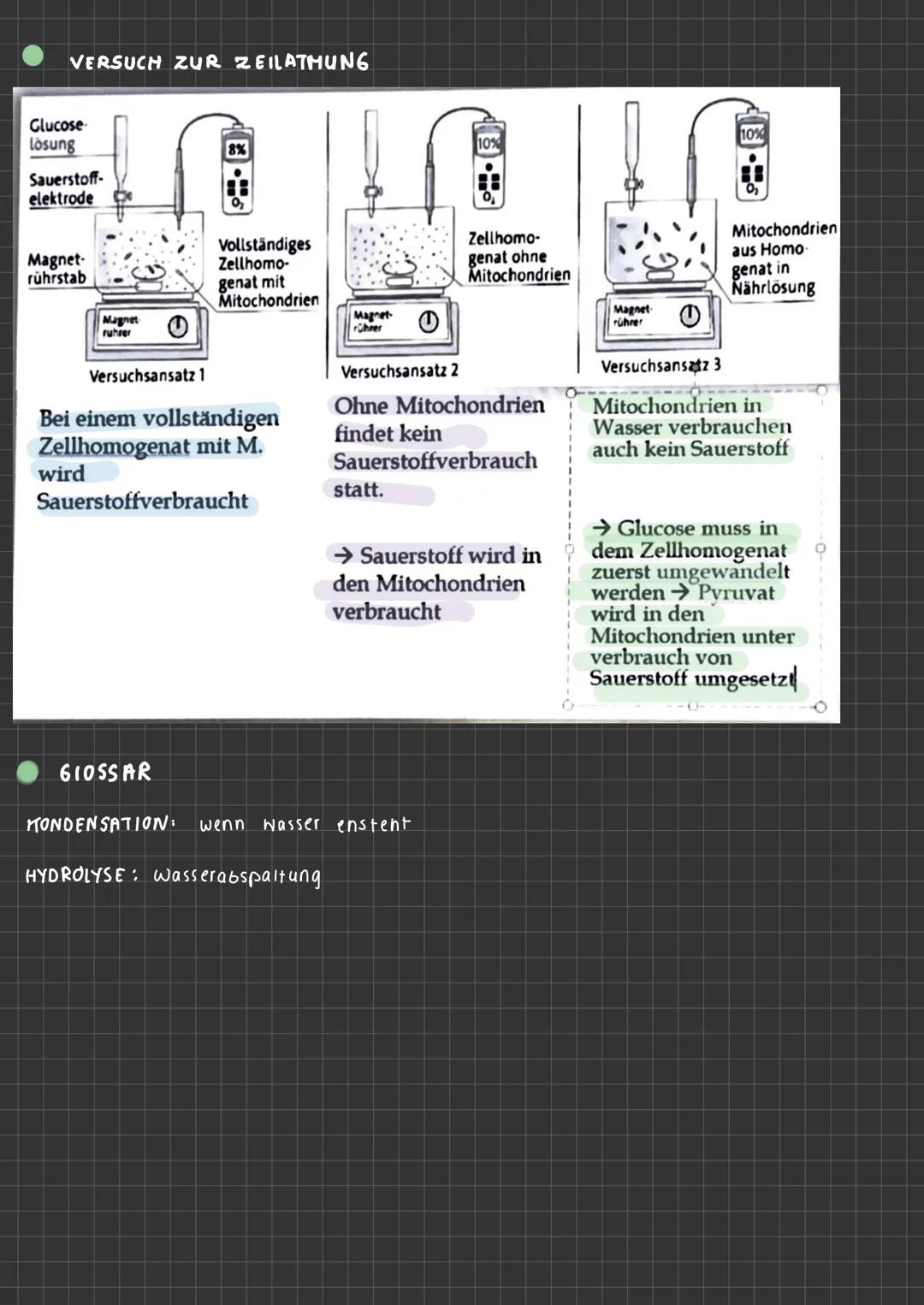 ABLAUF EINER ENZYHATISCHEN KATALYSIERTEN REAKTION
aktives
Zentrum
ENZYMATIK
$4
S
E
A+B
Enzym E+ Substrat S
ENZYME-WERKZEUGE DER ZELLE Was si