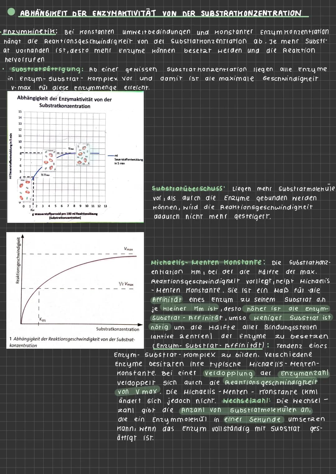 ABLAUF EINER ENZYHATISCHEN KATALYSIERTEN REAKTION
aktives
Zentrum
ENZYMATIK
$4
S
E
A+B
Enzym E+ Substrat S
ENZYME-WERKZEUGE DER ZELLE Was si