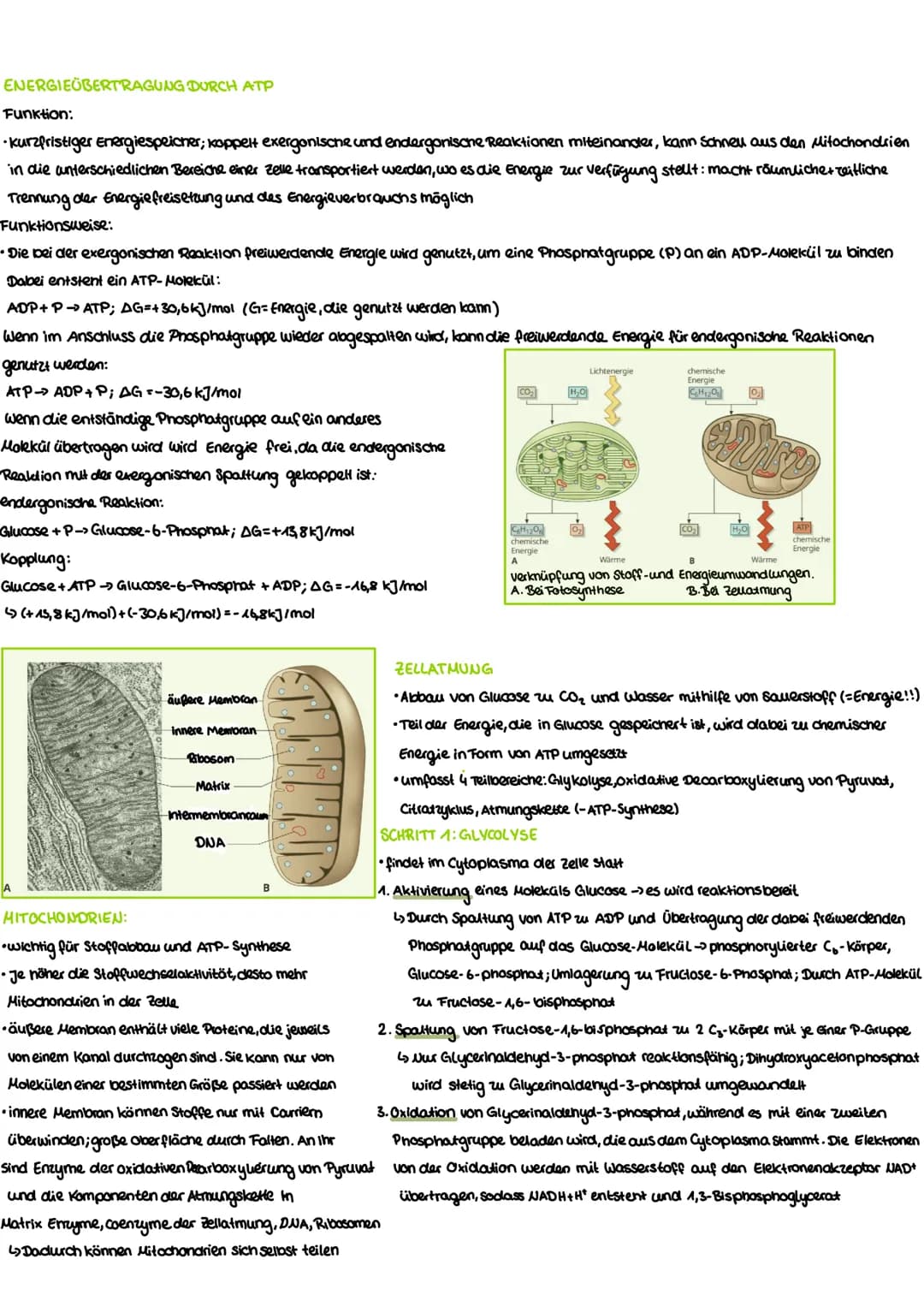 WIEDERHOLUNG-AUFBAU VON KOHLENHYDRATEN
Funktion:
Benennung:
-dienen Zellen als Gerüstsubastam und Energiespeicher -End silbe -ose (Glucose, 