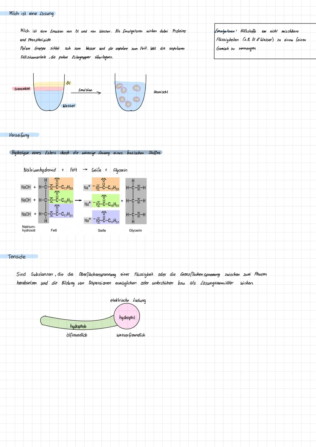 FETTE
Definition
Fette sind Gemische aus unterschiedlichen Glyceroles lern, wobei Glycerol jeweils
mit verschiedenen gesättigten und ungesät