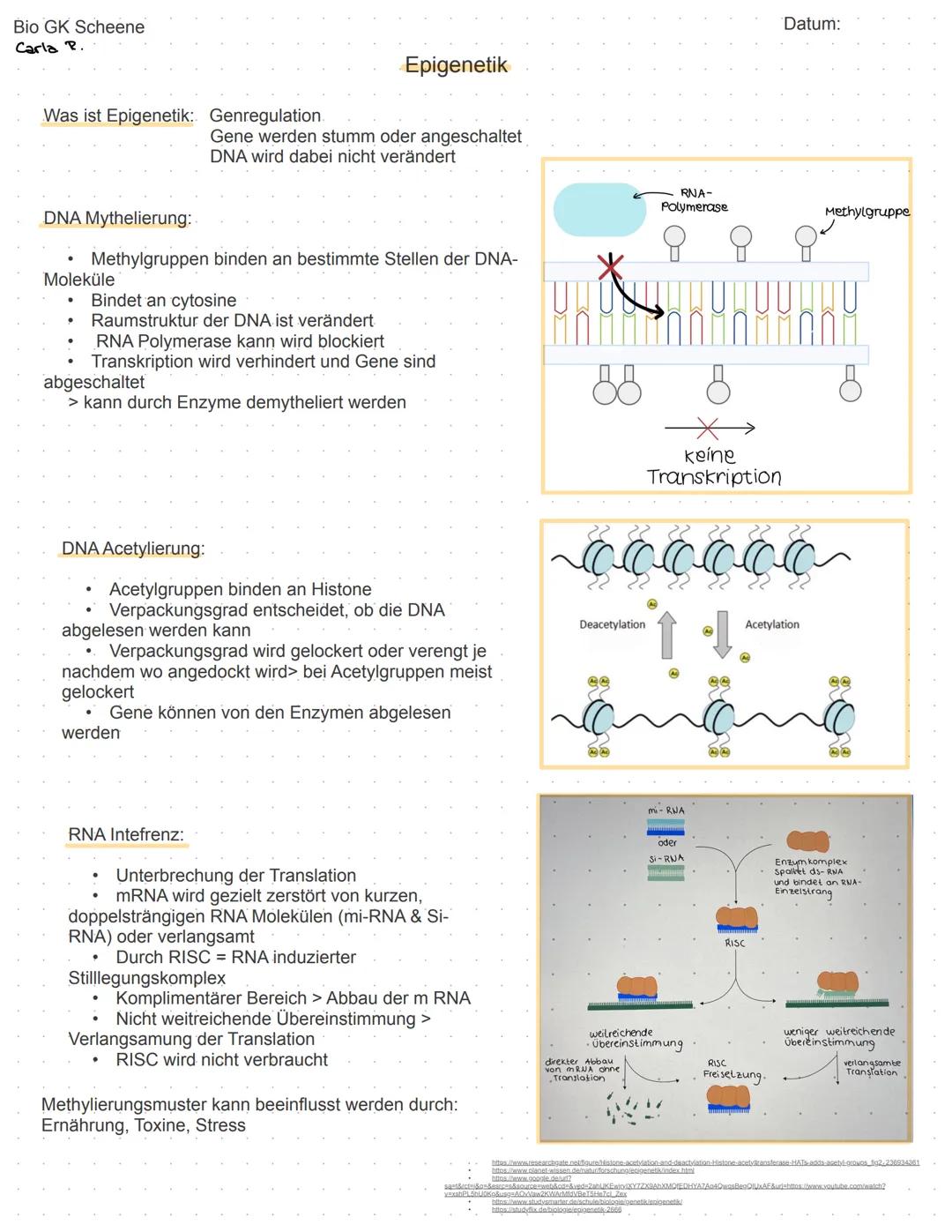 Bio GK Scheene
Carla P.
Was ist Epigenetik: Genregulation.
DNA Mythelierung:
Moleküle
Methylgruppen binden an bestimmte Stellen der DNA-
Bin