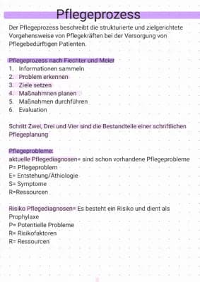 Know Pflegeprozessplanung thumbnail
