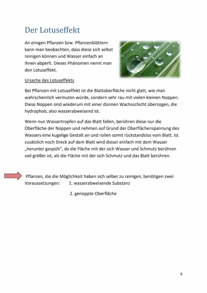 Nanotechnologie
Dokumentation
1 Inhaltsverzeichnis
Nanotechnologie
Definition...........
Die Geschichte der Nanotechnologie.
Der Lotuseffekt