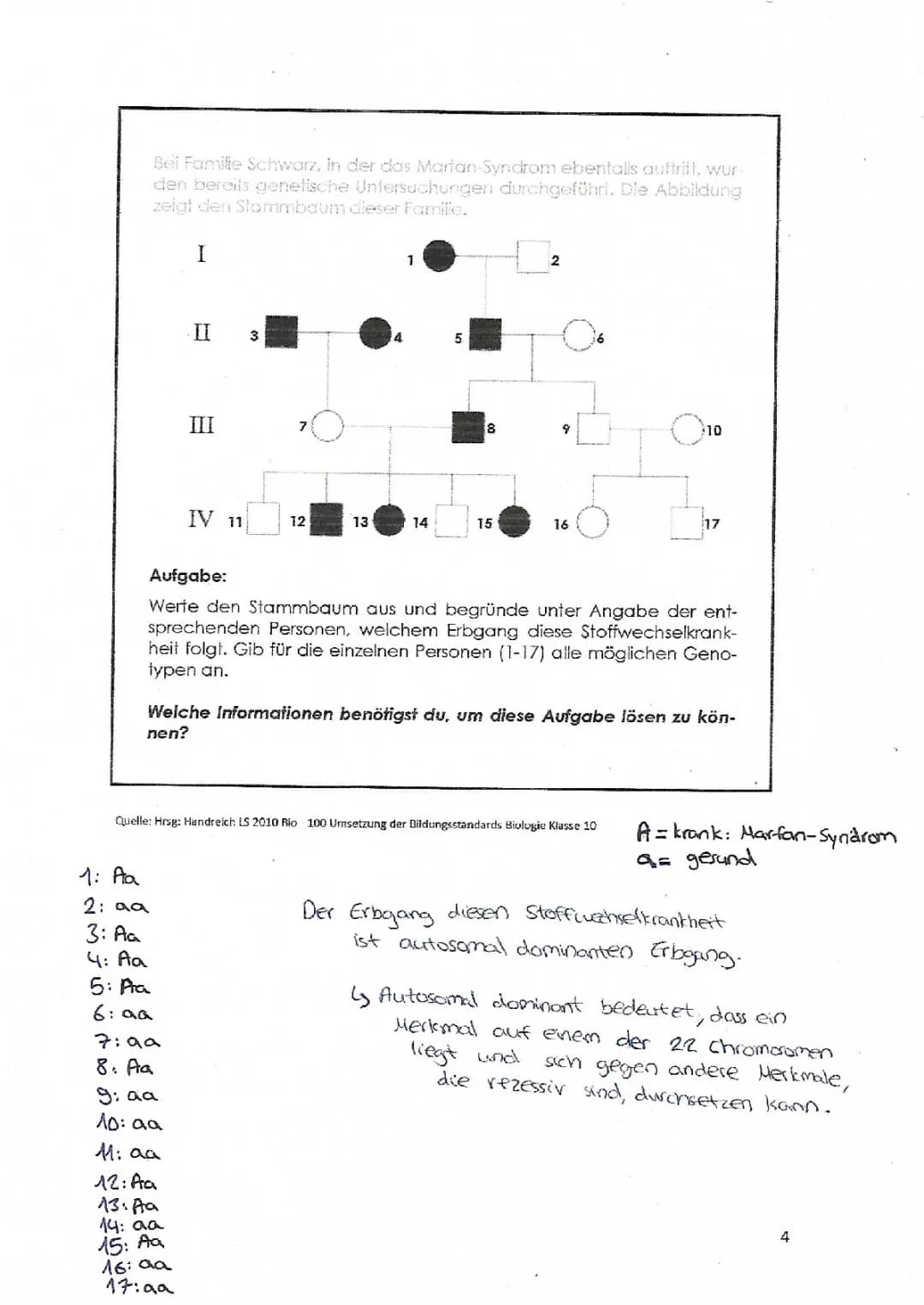 Analyse Stammbaum Familie Schwarz