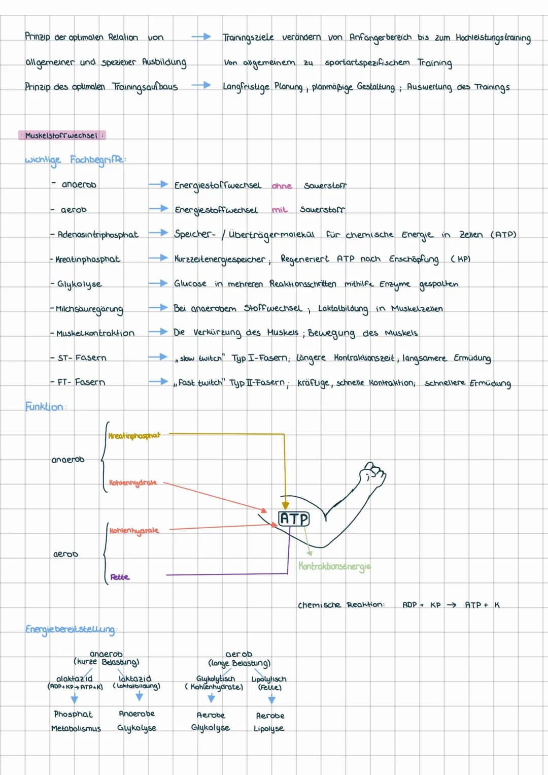 Ziele
·Ziele und Merkmale sportlichen Trainings:
wichtige Fachbegriffe:
-Homöostase
-Superkompensation
-endogene Faktoren
-exogene Faktoren
