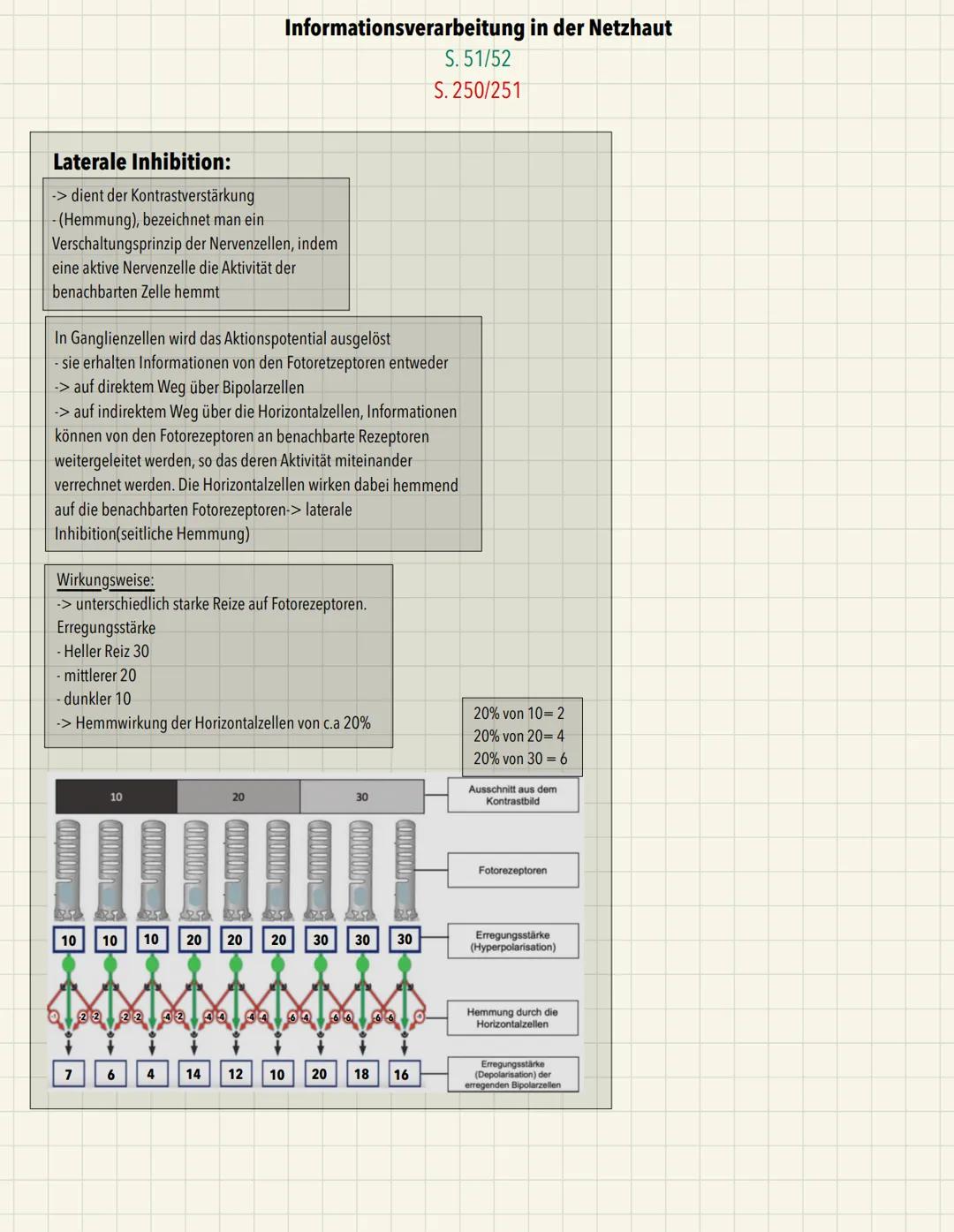 x
Aufbau:
Endknöpfchen
Ca2+ - Pumpe
Ch-Carrier
Präsynaptische Membran
ACh-Rezeptor
Postsynaptische Membran
ACH-Acetylcholin
A-Acetat
Ch-Chol