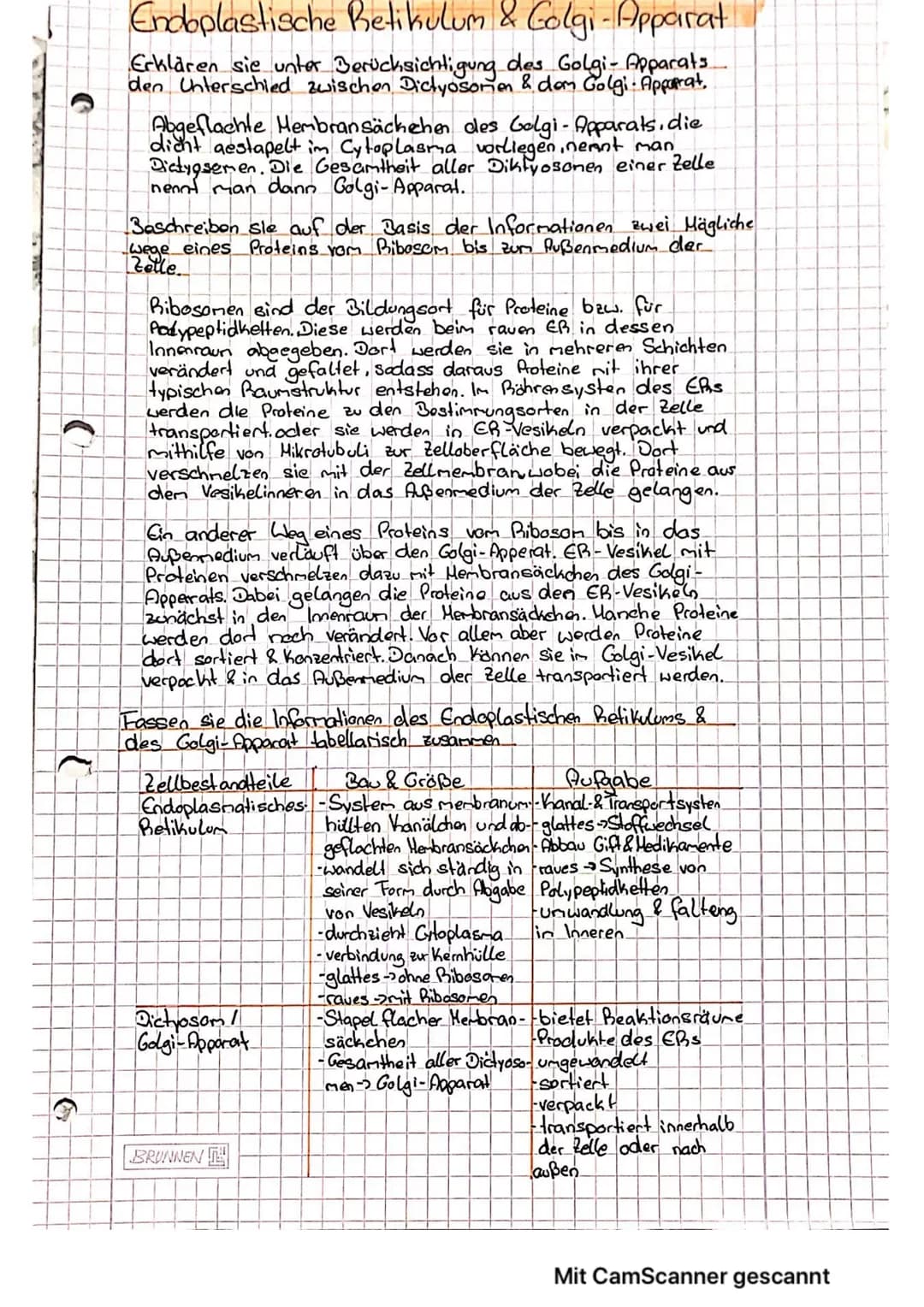 GRUPPENPUZZLE
Expertenthema 3
Zellbestandtelle
Das Innere Membransystem der Zelle
M1 Das Endoplasmatische Retikulum (ER)
(EM-Bild und Schema