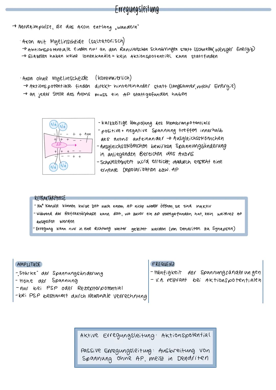 O
fiks
unipolares Bipolares
Neuron
Neuron
Aufbau eines Neurons
Myelinscheide
Ranviersche
Pseudo-
unipolares
Neuron
Axonhügel (Anfang)
Glia z