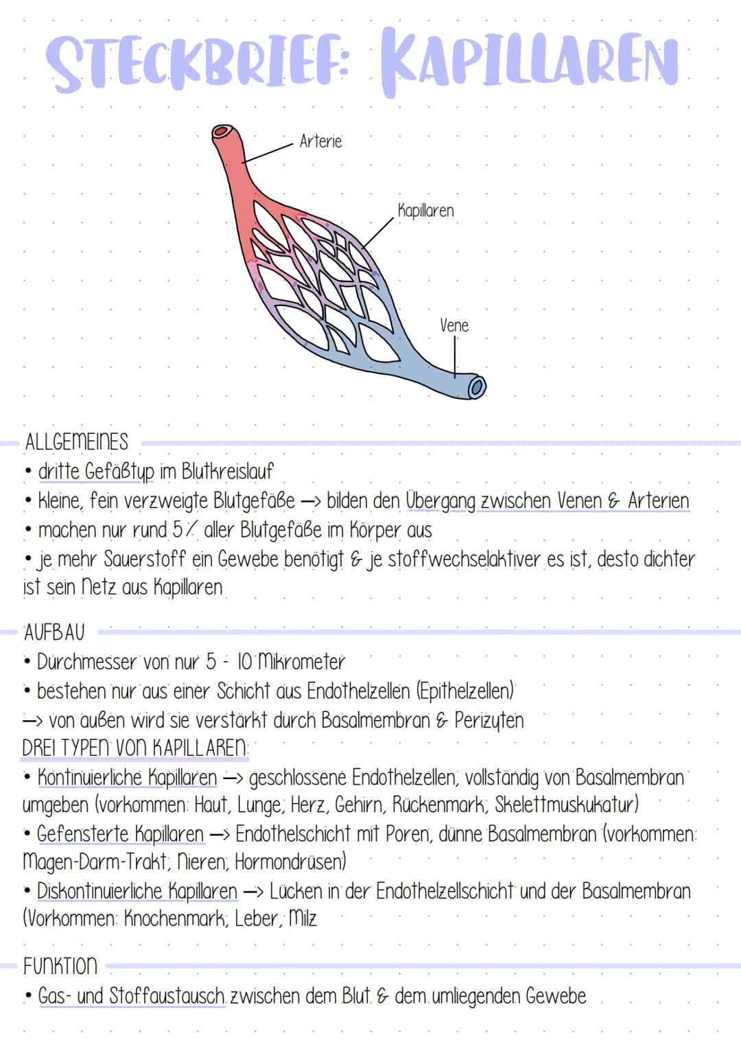 LERNZETTEL TAF 12.1 HERZKREISLAUF
1. WINDKESSELFUNKTION
SYSTOLE
Blut wird in die Arterie gedrückt
• Arterienwände werden aufgrund
ihrer Elas