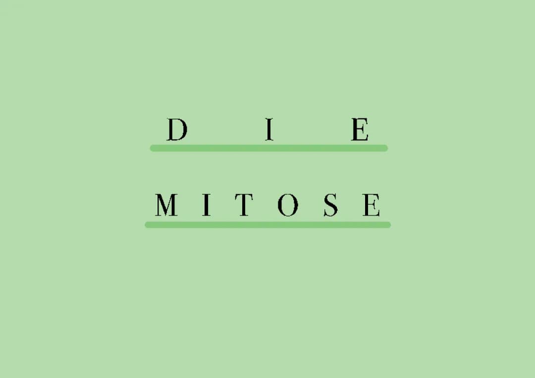 Mitose 