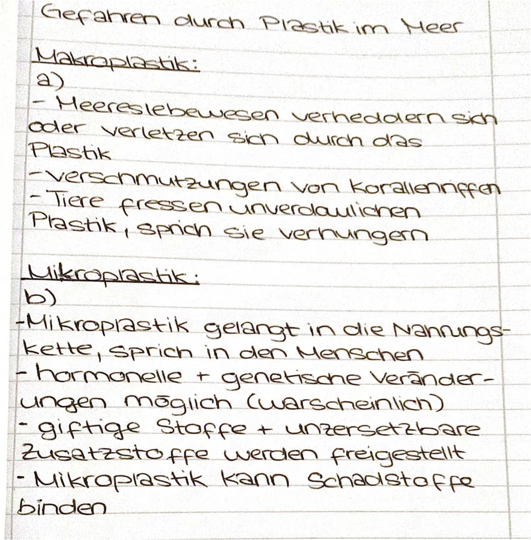Plastik im Meer 
