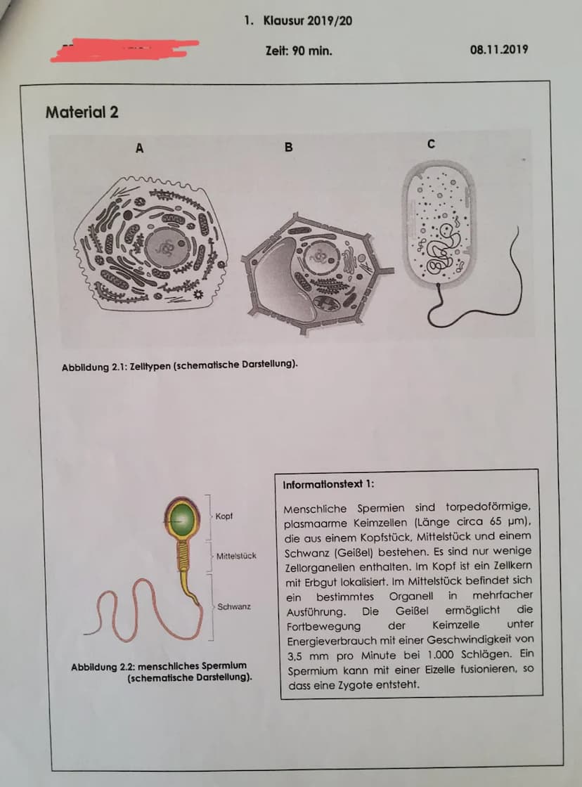Aufgabenstellungen:
a)
1. Thema: Organisationsebenen des Lebendigen / Das Lichtmikroskop
1.1. Erläutern Sie bezugnehmend auf Abbildung 1.1 (