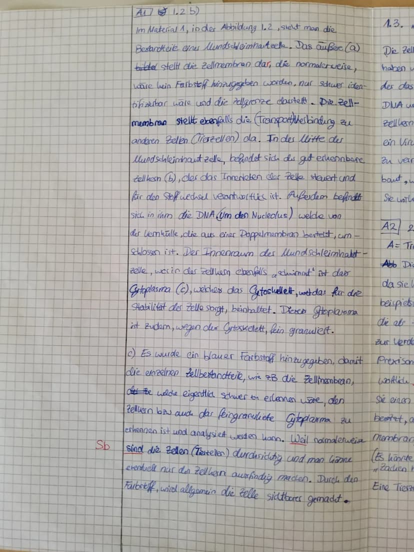 Aufgabenstellungen:
a)
1. Thema: Organisationsebenen des Lebendigen / Das Lichtmikroskop
1.1. Erläutern Sie bezugnehmend auf Abbildung 1.1 (