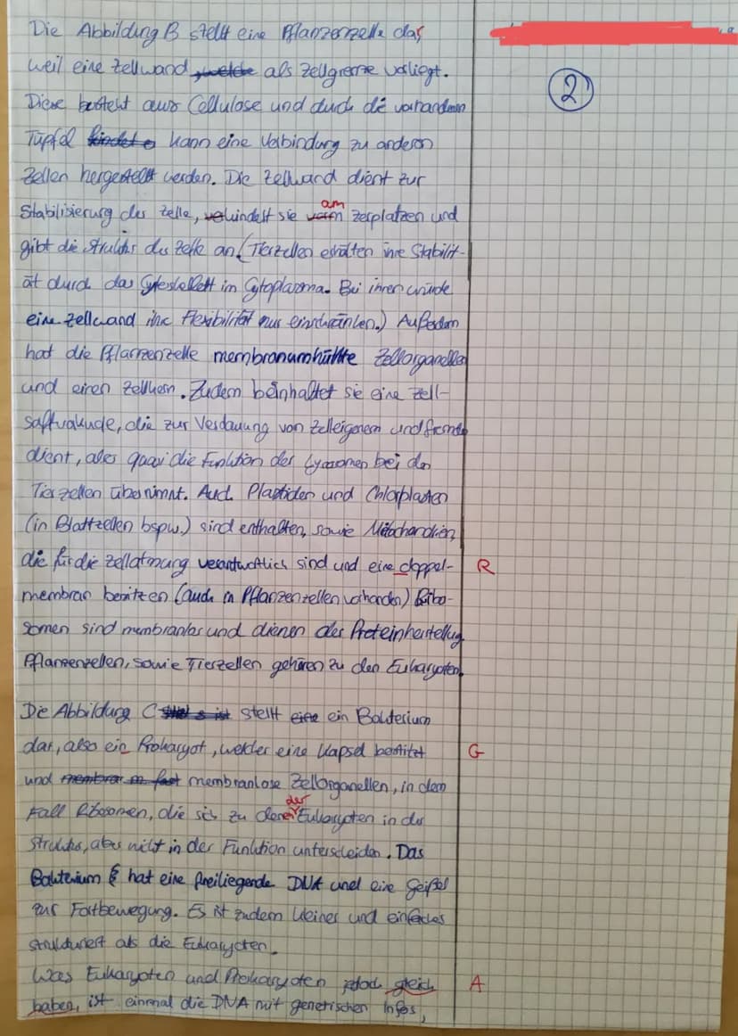 Aufgabenstellungen:
a)
1. Thema: Organisationsebenen des Lebendigen / Das Lichtmikroskop
1.1. Erläutern Sie bezugnehmend auf Abbildung 1.1 (