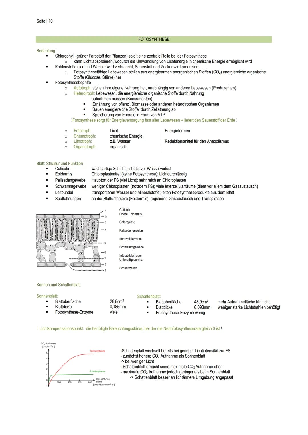Seite | 1
Enzymatik
Biokatalysatoren
.
II.
III.
Wirkgruppen
I.
■
Anderes
Wirkungsweise
■
Sind aus Biomolekülen aufgebaut
Stoffwechselprozess