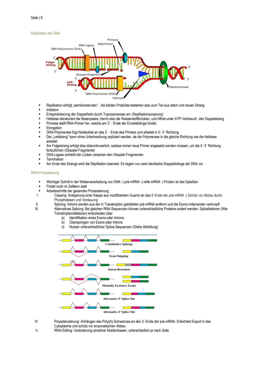 Seite | 1
Enzymatik
Biokatalysatoren
.
II.
III.
Wirkgruppen
I.
■
Anderes
Wirkungsweise
■
Sind aus Biomolekülen aufgebaut
Stoffwechselprozess