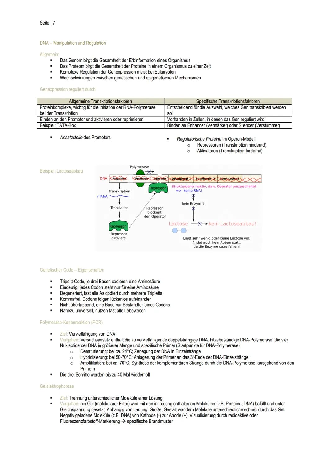 Seite | 1
Enzymatik
Biokatalysatoren
.
II.
III.
Wirkgruppen
I.
■
Anderes
Wirkungsweise
■
Sind aus Biomolekülen aufgebaut
Stoffwechselprozess