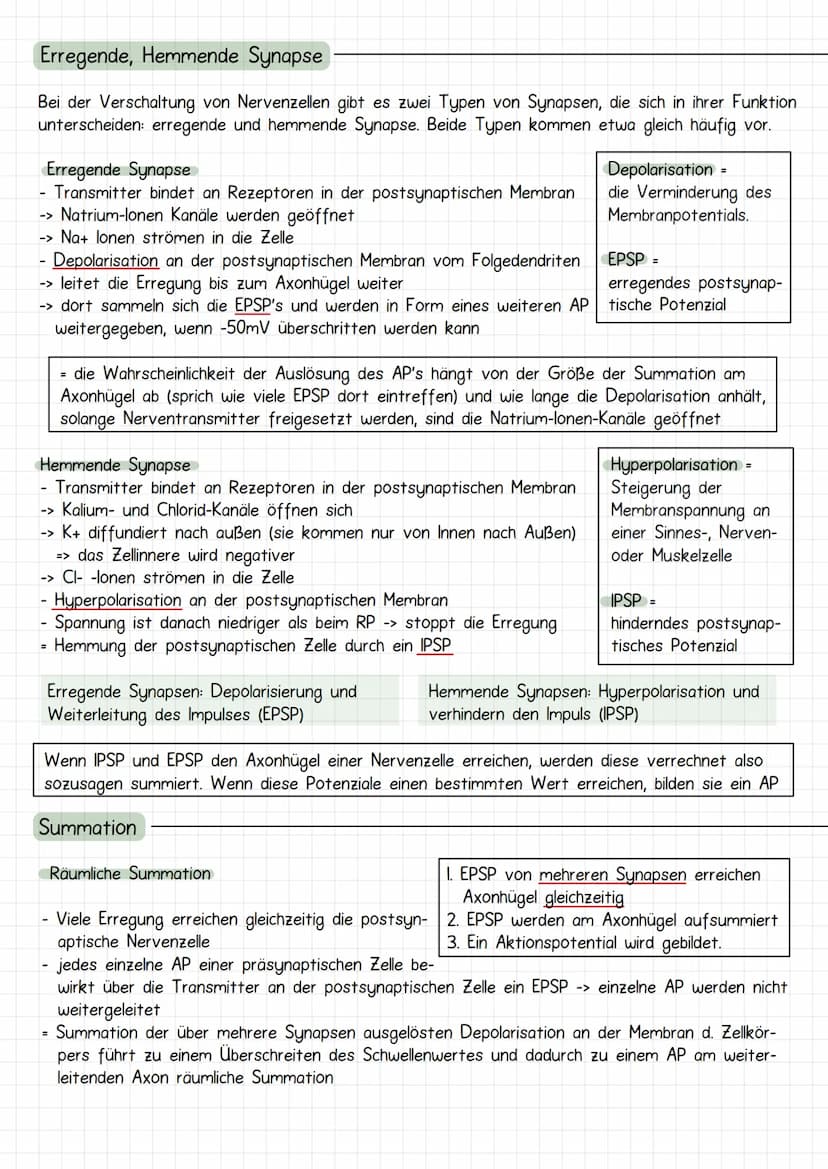 Neurobiologie
Aufbau Neuronen / Nervenzelle
1. Dendriten
->
Verrechnungsfunktion, laufende Erregung und Wei-
terleitung
2. Zellmembran
3. Ze