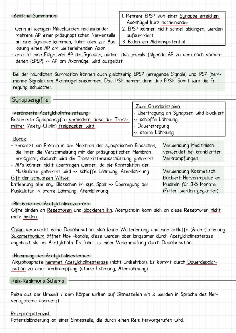 Neurobiologie
Aufbau Neuronen / Nervenzelle
1. Dendriten
->
Verrechnungsfunktion, laufende Erregung und Wei-
terleitung
2. Zellmembran
3. Ze