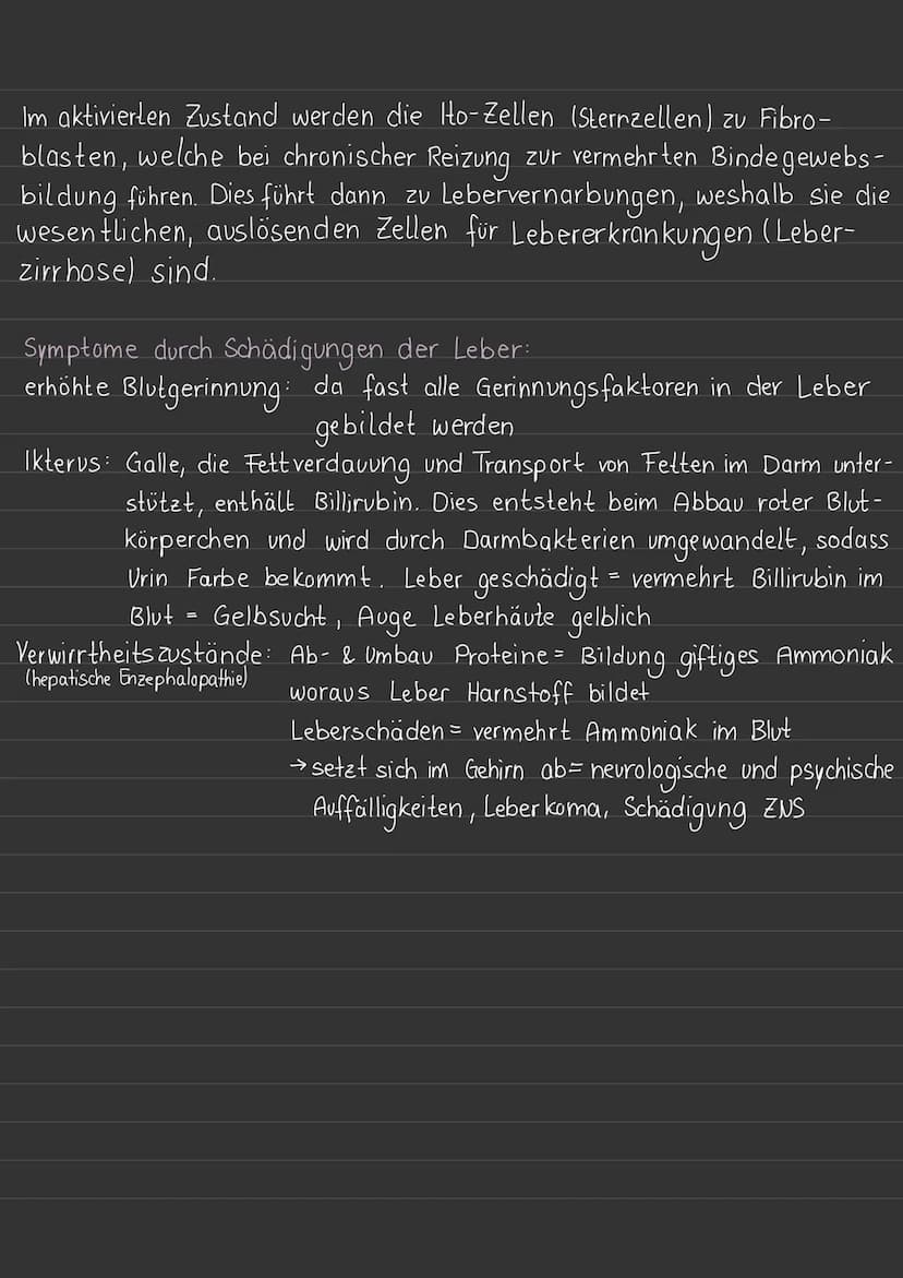 anatomie
DIE LEBER
LAGE
unter Zwerchfellkuppel im rechlen Oberbauch
AUFBAU
überzogen von einer derben Bindegewebskaps el
2 Leberlappen → rec