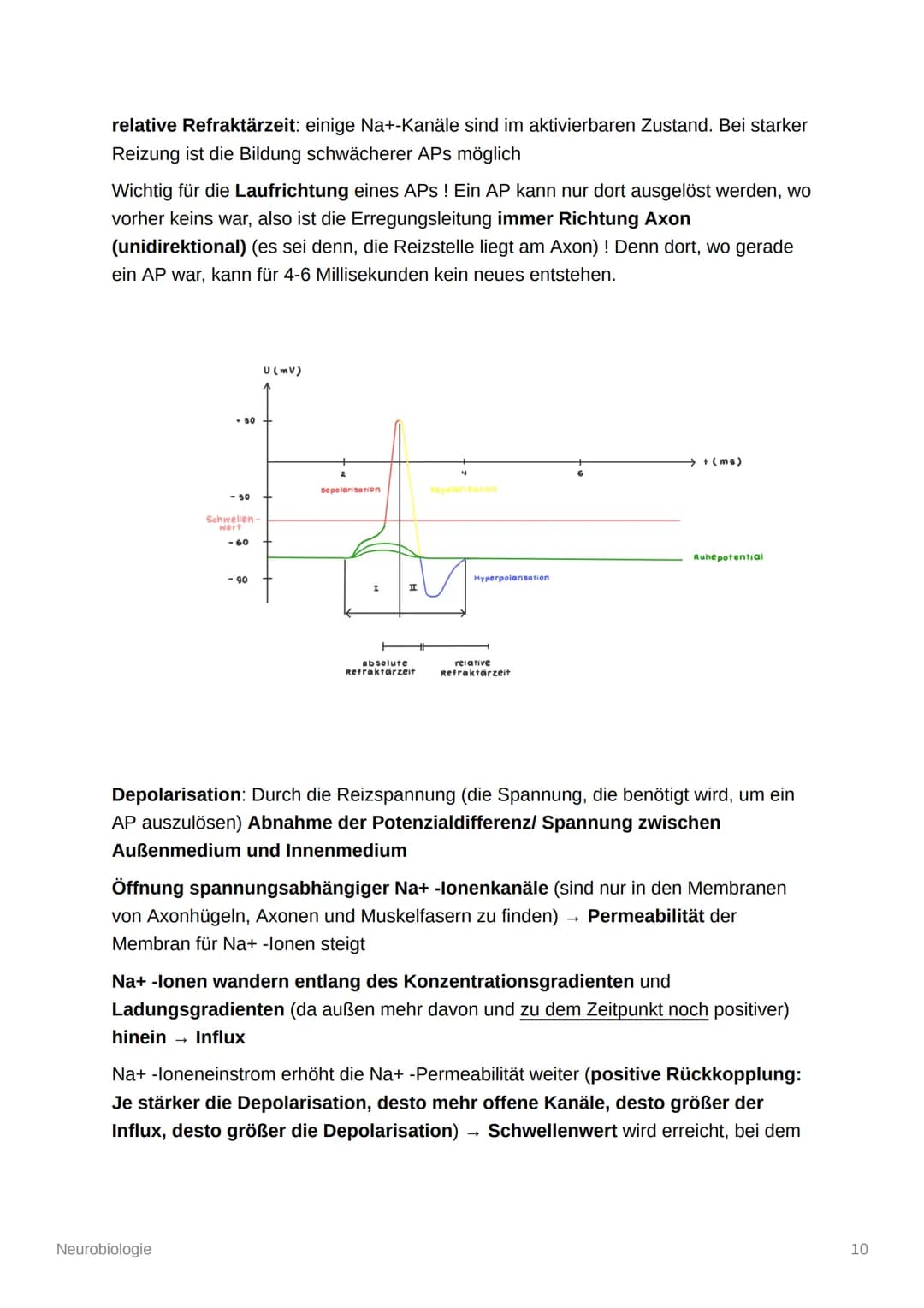 Neurobiologie
Aufbau und Organisation des Nervensystems
Zentrales Nervensystem (ZNS): Gehirn und Rückenmark
Peripheres Nervensystem (PNS): a