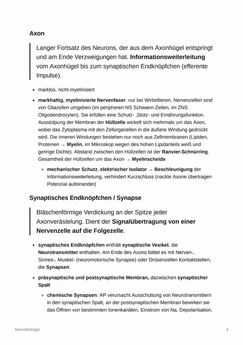Neurobiologie
Aufbau und Organisation des Nervensystems
Zentrales Nervensystem (ZNS): Gehirn und Rückenmark
Peripheres Nervensystem (PNS): a