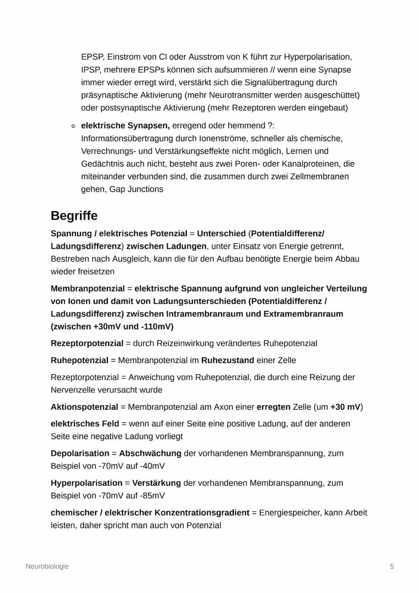 Neurobiologie
Aufbau und Organisation des Nervensystems
Zentrales Nervensystem (ZNS): Gehirn und Rückenmark
Peripheres Nervensystem (PNS): a