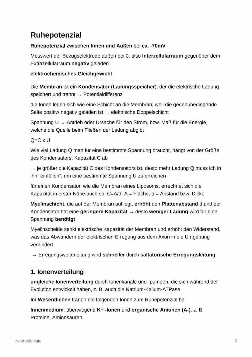 Neurobiologie
Aufbau und Organisation des Nervensystems
Zentrales Nervensystem (ZNS): Gehirn und Rückenmark
Peripheres Nervensystem (PNS): a