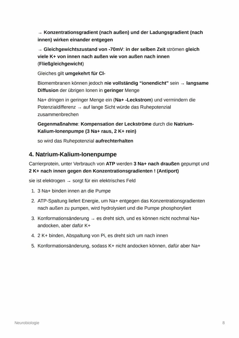 Neurobiologie
Aufbau und Organisation des Nervensystems
Zentrales Nervensystem (ZNS): Gehirn und Rückenmark
Peripheres Nervensystem (PNS): a