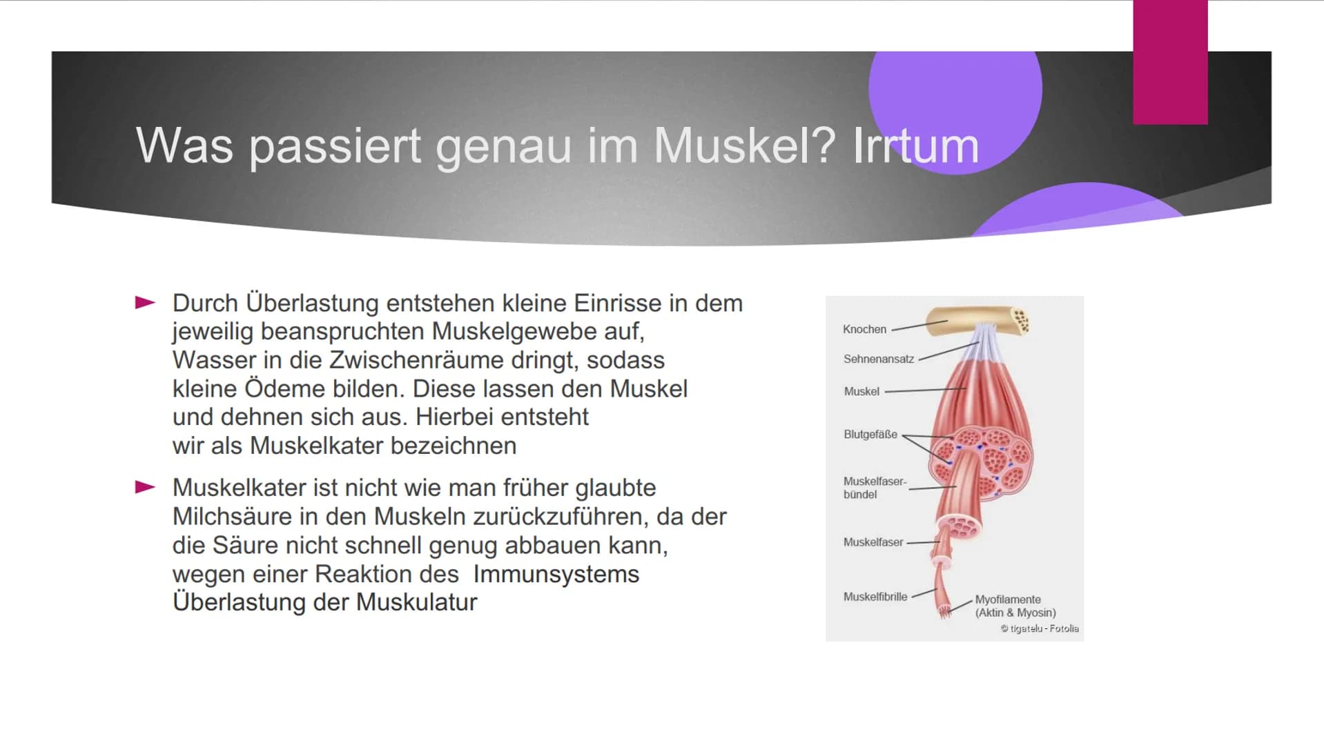 Muskelkater Inhaltsverzeichnis
Definition
Was passiert genau im Muskel? Irrtum
Entstehungsursachen
Behandlung/ Maßnahmen
► Vorbeugung
Muskel