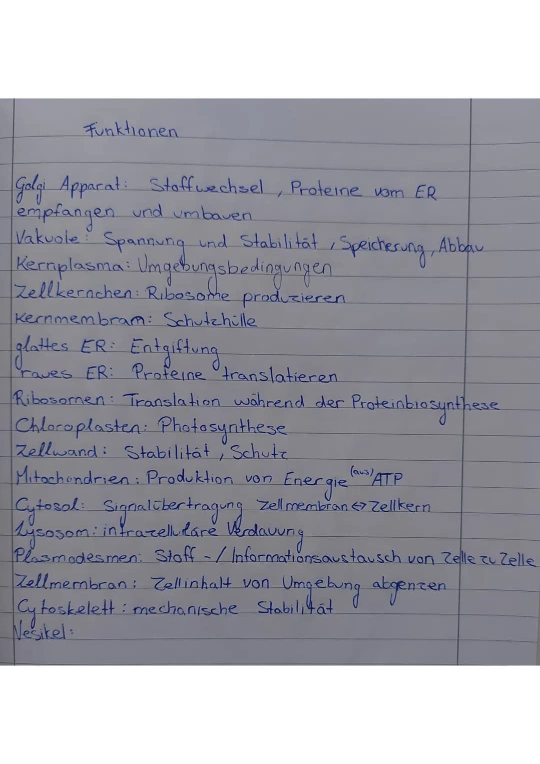Funktionen
Golgi Apparat: Stoffwechsel, Proteine vom ER
empfangen und umbauen.
Vakuole: Spannung und Stabilität,
Kernplasma: Umgebungsbeding