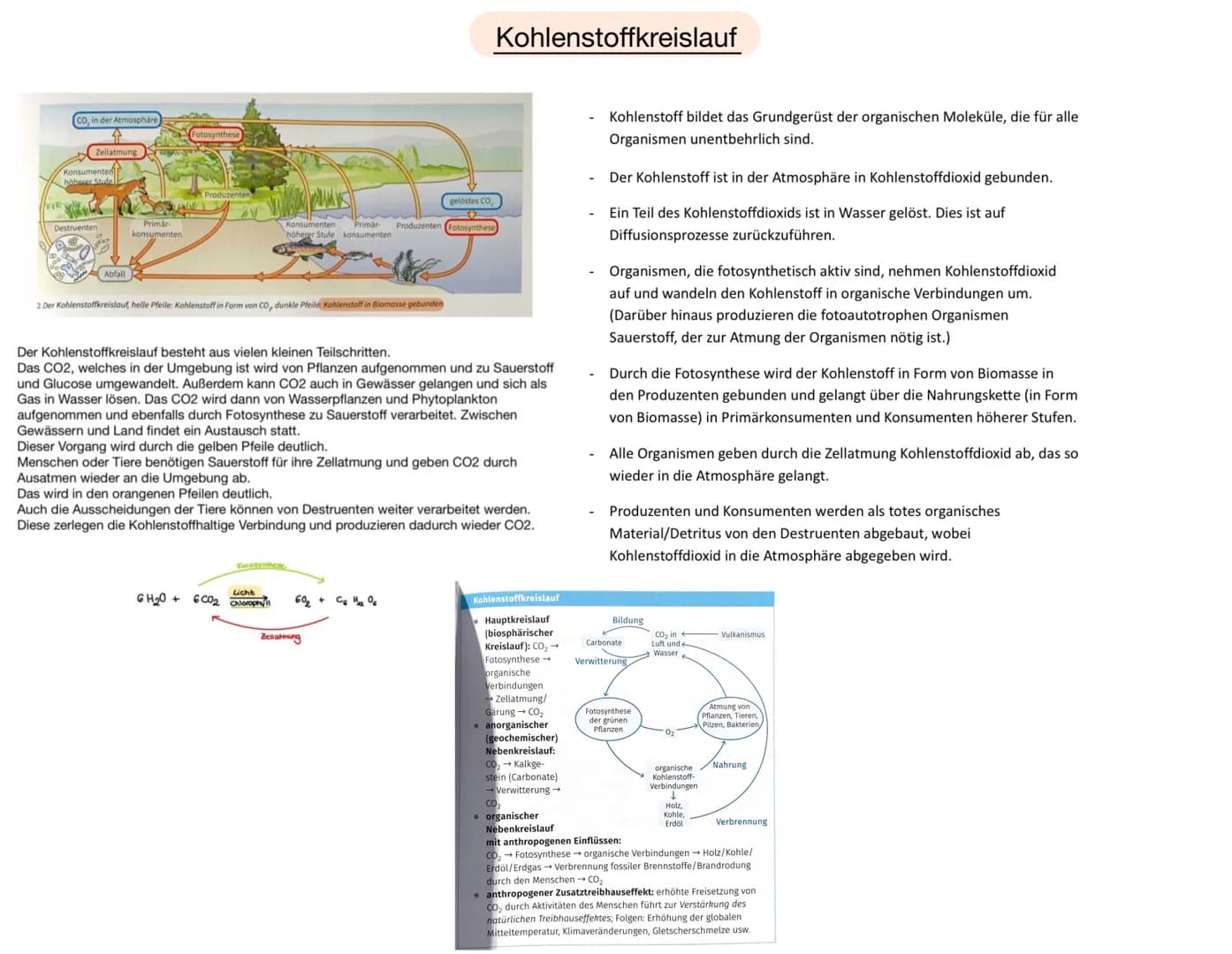 Name:
Datum: 03.05.21
Ökologie
> Der Begriff Ökologie bezeichnete E. Haeckel mit der Lehre vom Haushalt der Natur
➤ Teilgebiet der Biologie,