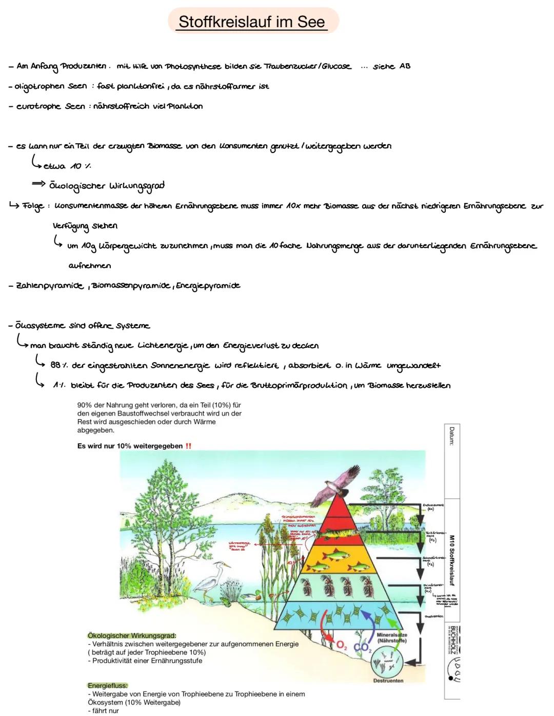 Name:
Datum: 03.05.21
Ökologie
> Der Begriff Ökologie bezeichnete E. Haeckel mit der Lehre vom Haushalt der Natur
➤ Teilgebiet der Biologie,