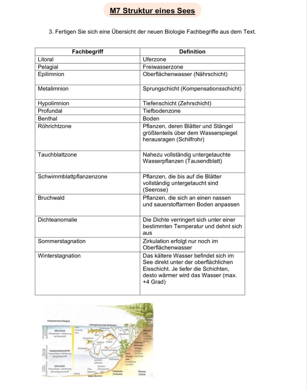 Name:
Datum: 03.05.21
Ökologie
> Der Begriff Ökologie bezeichnete E. Haeckel mit der Lehre vom Haushalt der Natur
➤ Teilgebiet der Biologie,