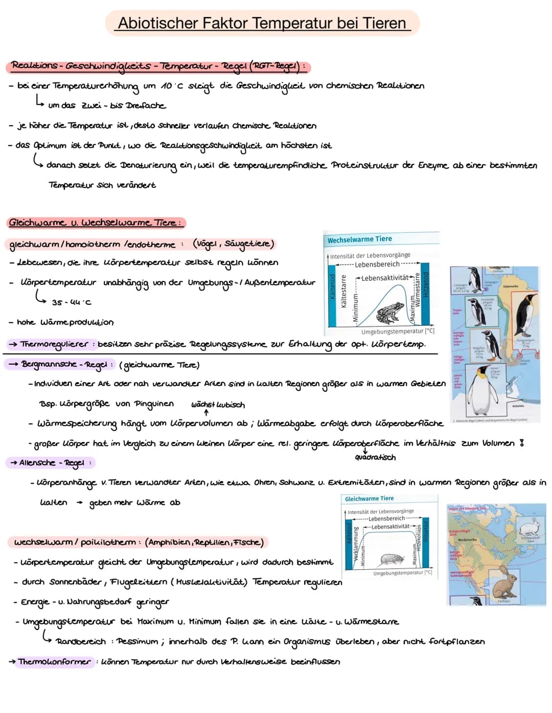 Name:
Datum: 03.05.21
Ökologie
> Der Begriff Ökologie bezeichnete E. Haeckel mit der Lehre vom Haushalt der Natur
➤ Teilgebiet der Biologie,