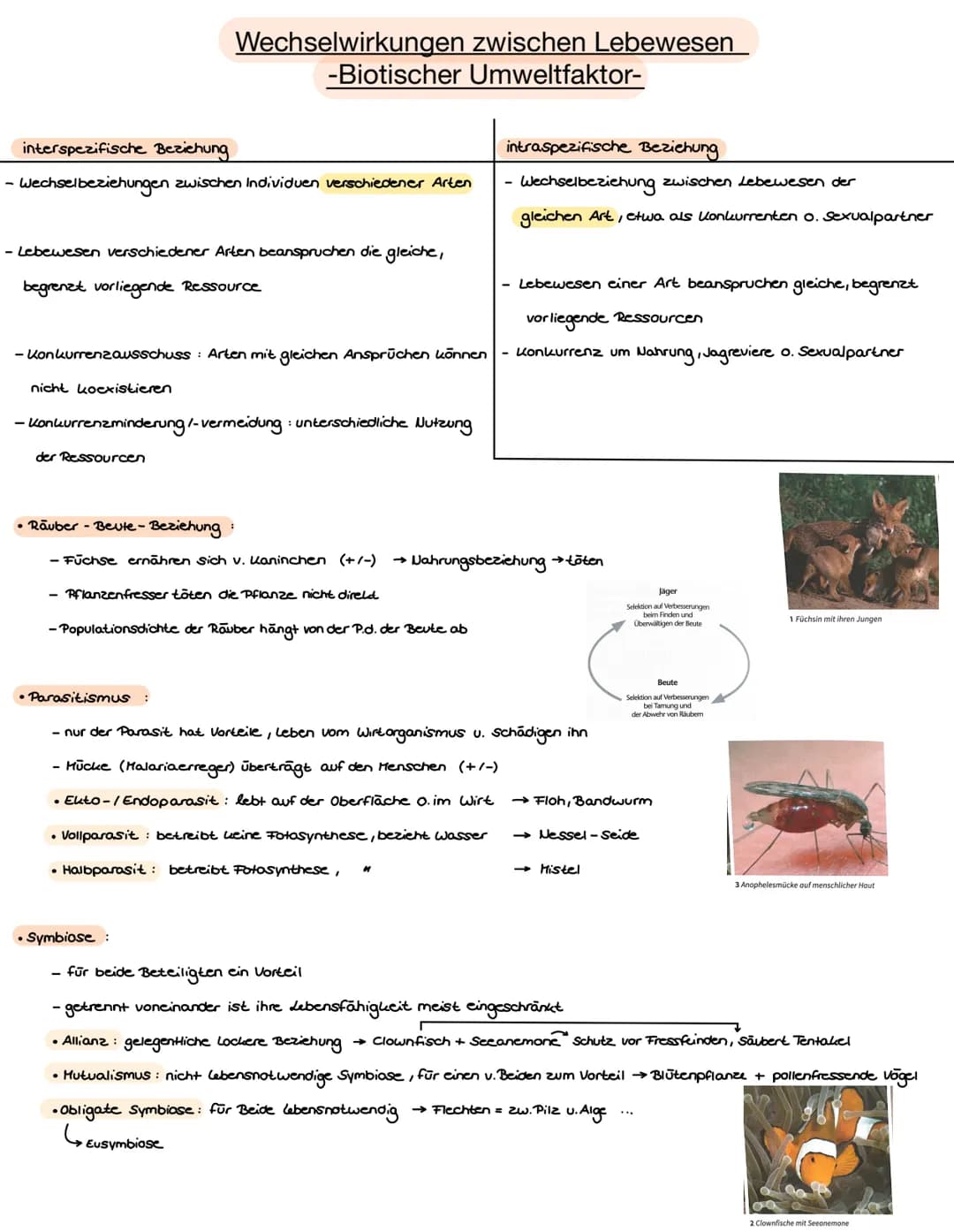 Name:
Datum: 03.05.21
Ökologie
> Der Begriff Ökologie bezeichnete E. Haeckel mit der Lehre vom Haushalt der Natur
➤ Teilgebiet der Biologie,