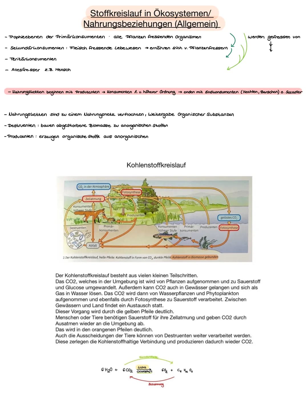 Name:
Datum: 03.05.21
Ökologie
> Der Begriff Ökologie bezeichnete E. Haeckel mit der Lehre vom Haushalt der Natur
➤ Teilgebiet der Biologie,