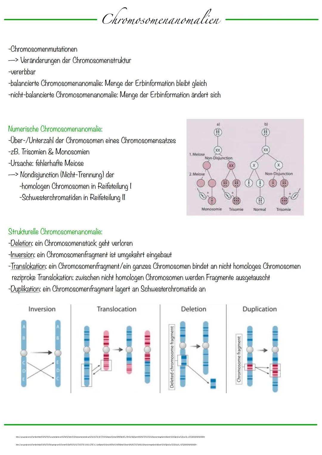 DNA wickelt sich um Histone
->Verdichtung der Chromatinfaser macht Chromosomen sichtbar
D
Körperzellen:
-1-Chromatid-Chromosomen
Centromer
C