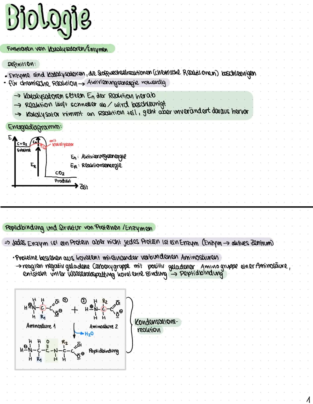 Biologie
Funktionen von Katalysatoren/Enzymen
Definition:
• Enzyme sind Katalysatoren, die Stoffwechselreaktionen (chemische Reculationen) b