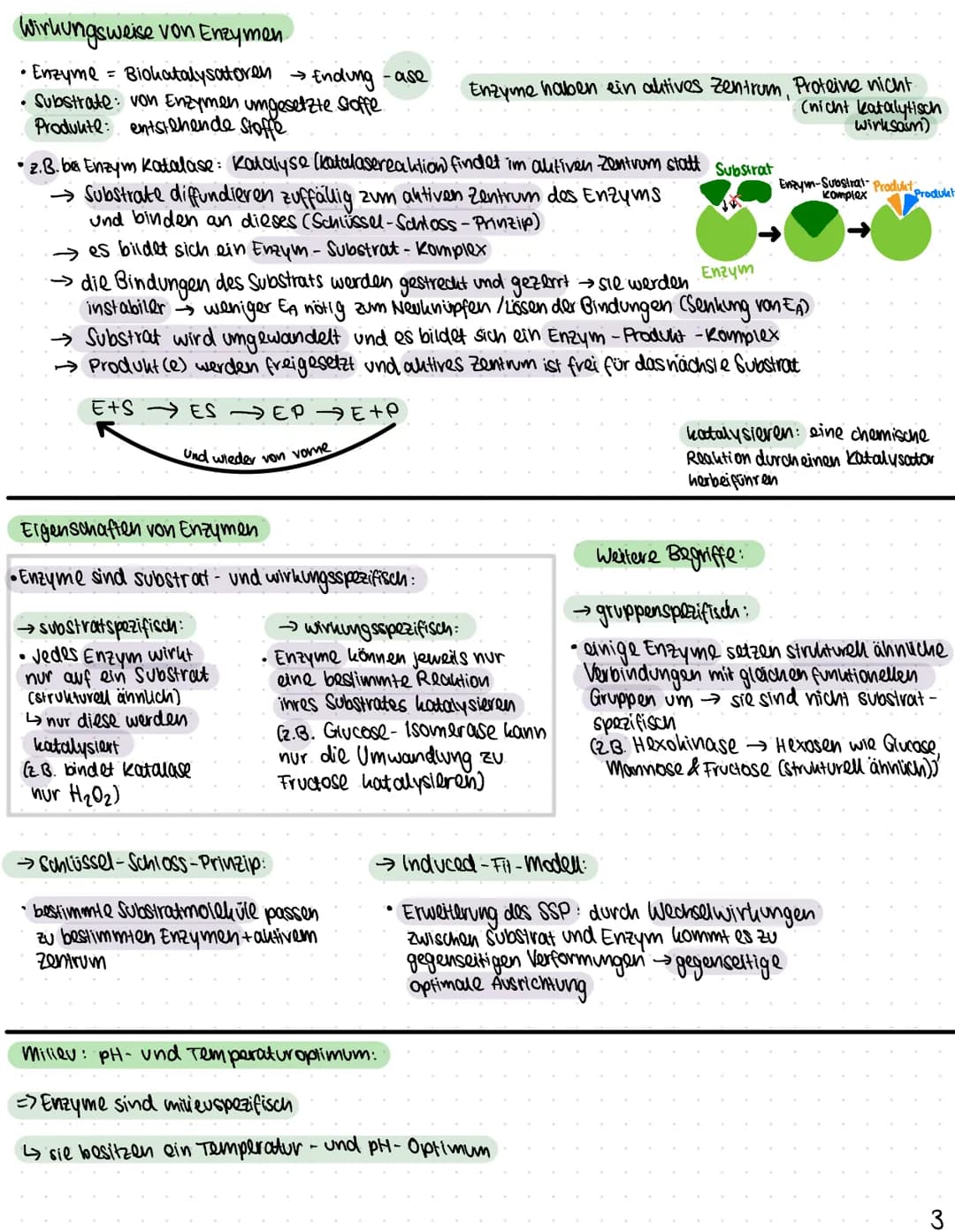 Biologie
Funktionen von Katalysatoren/Enzymen
Definition:
• Enzyme sind Katalysatoren, die Stoffwechselreaktionen (chemische Reculationen) b