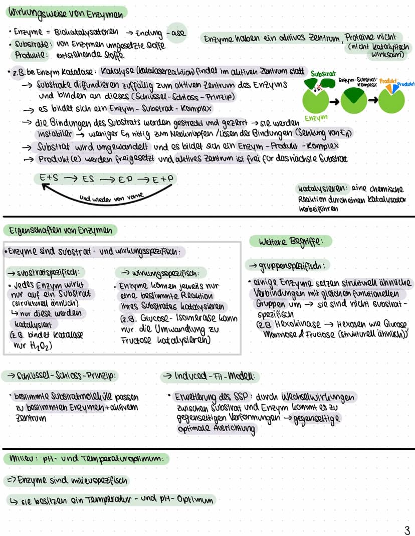 Biologie
Funktionen von Katalysatoren/Enzymen
Definition:
• Enzyme sind Katalysatoren, die Stoffwechselreaktionen (chemische Reculationen) b