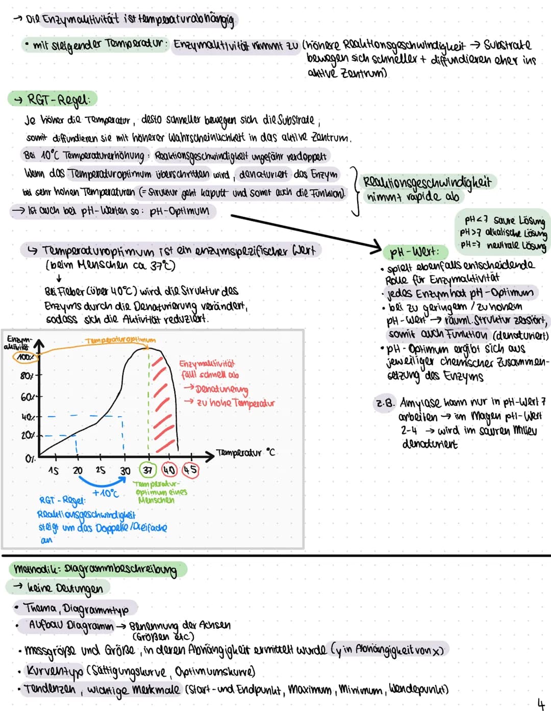 Biologie
Funktionen von Katalysatoren/Enzymen
Definition:
• Enzyme sind Katalysatoren, die Stoffwechselreaktionen (chemische Reculationen) b