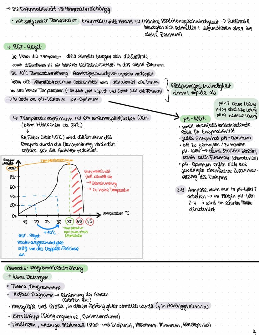 Biologie
Funktionen von Katalysatoren/Enzymen
Definition:
• Enzyme sind Katalysatoren, die Stoffwechselreaktionen (chemische Reculationen) b
