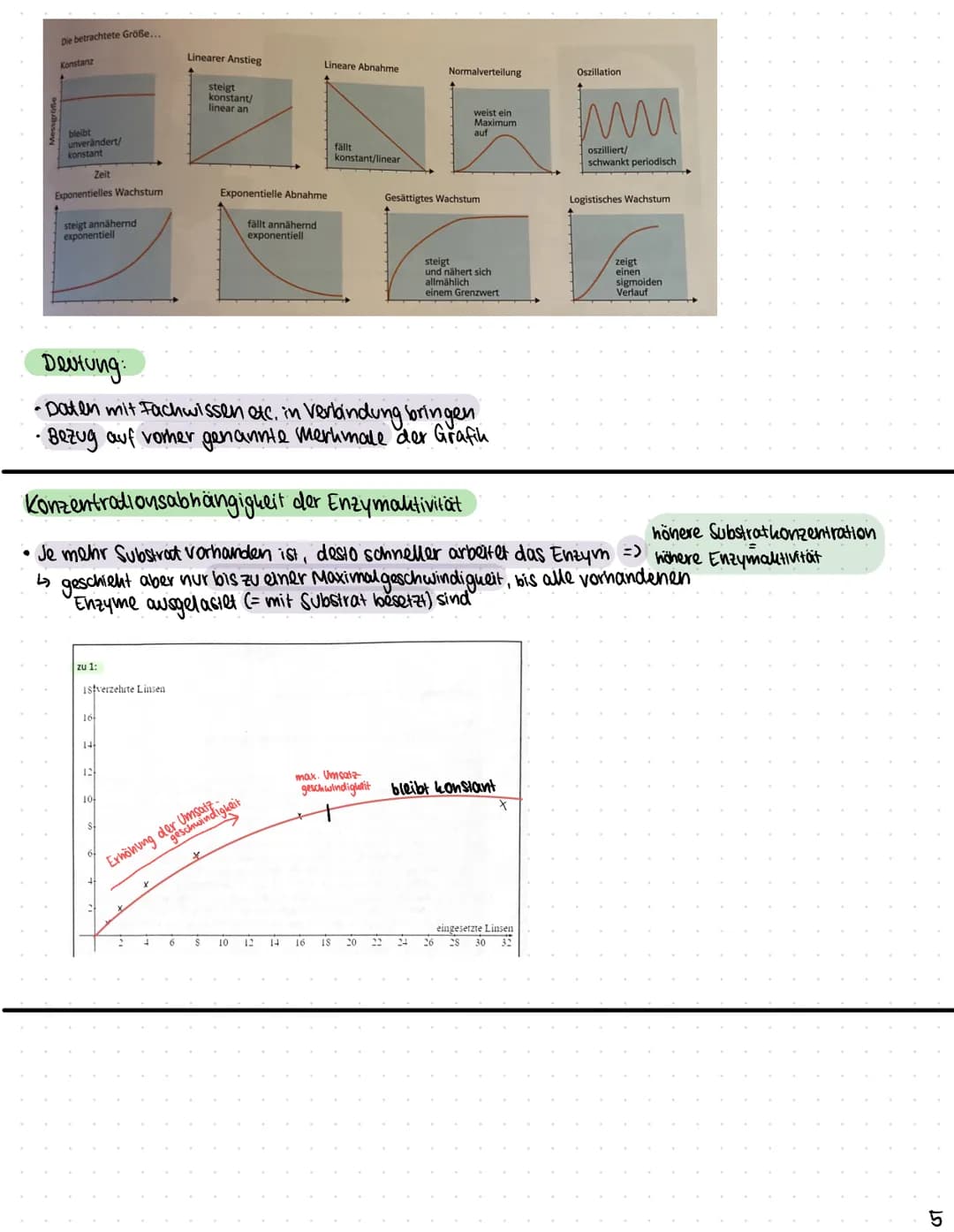 Biologie
Funktionen von Katalysatoren/Enzymen
Definition:
• Enzyme sind Katalysatoren, die Stoffwechselreaktionen (chemische Reculationen) b