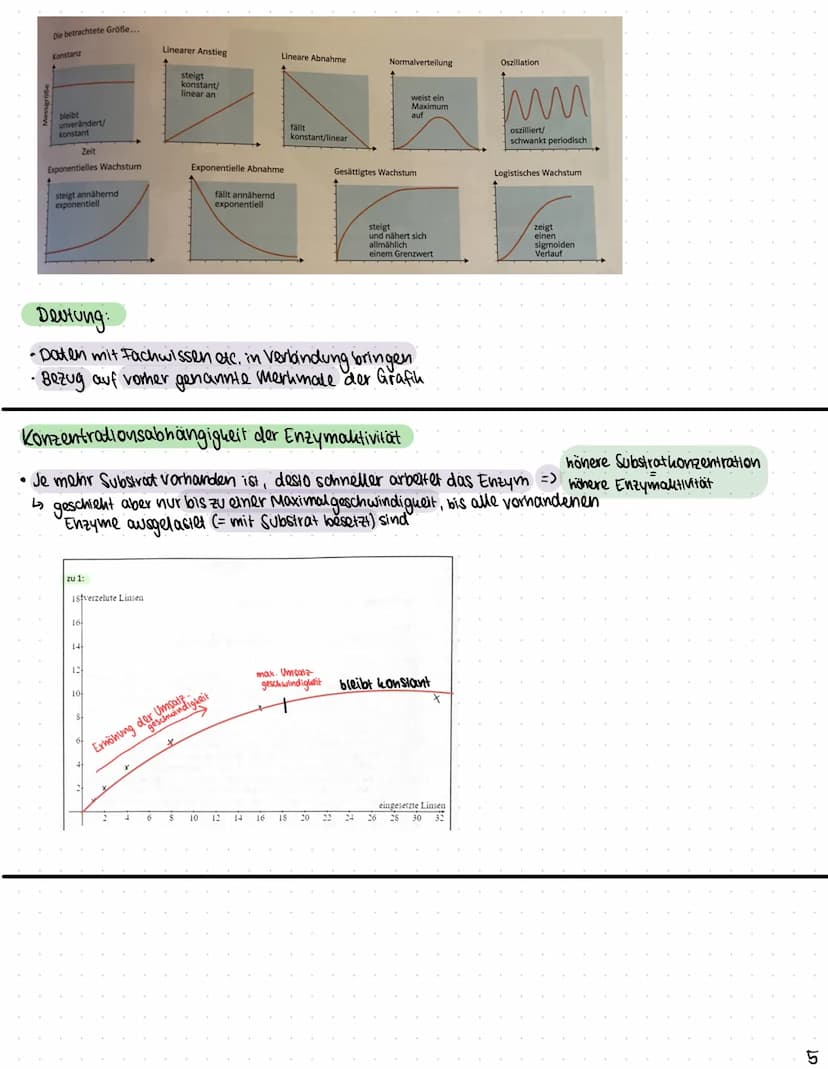 Biologie
Funktionen von Katalysatoren/Enzymen
Definition:
• Enzyme sind Katalysatoren, die Stoffwechselreaktionen (chemische Reculationen) b