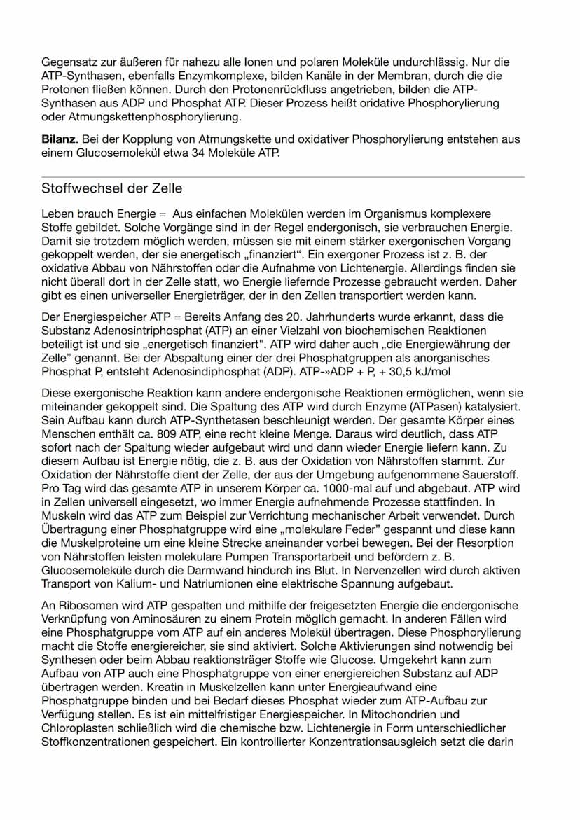 Biologie Klausur Nr.3
Abbau von Glukose in vier Teilschritten
Glykolyse - dient der
=
Energiegewinnung ohne
Sauerstoff. Durch den Abbau eine