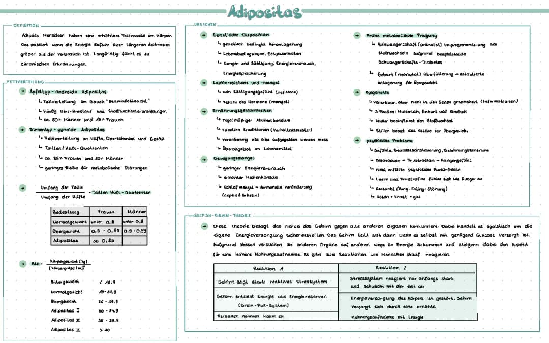 Adipositas 