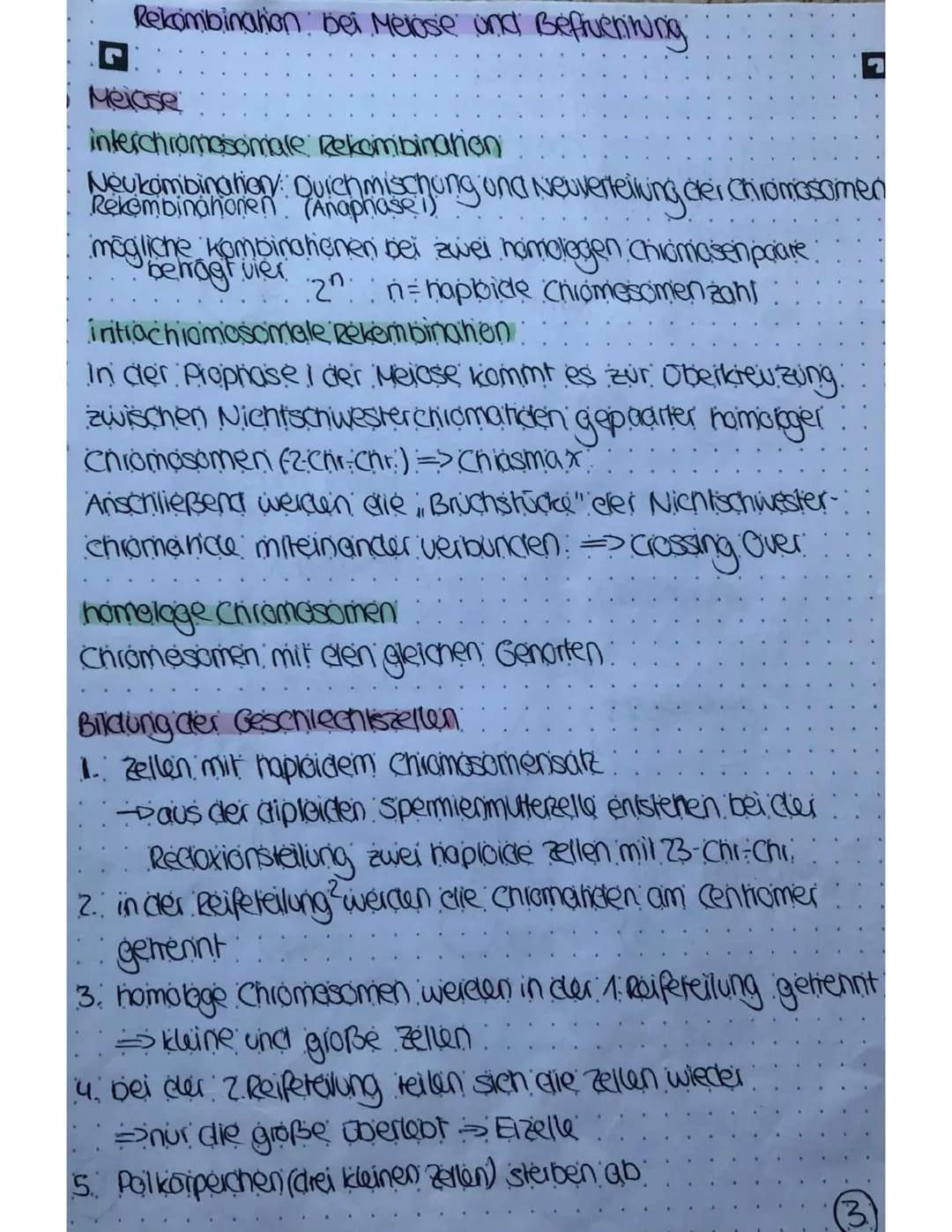 Meiose und Mitose
Mitose
Plophase
Chromosomen verkürzen und verdichten sich
Cennomere gehen auseinander
Prometophase:
Keinholle zeifällt:
Sp
