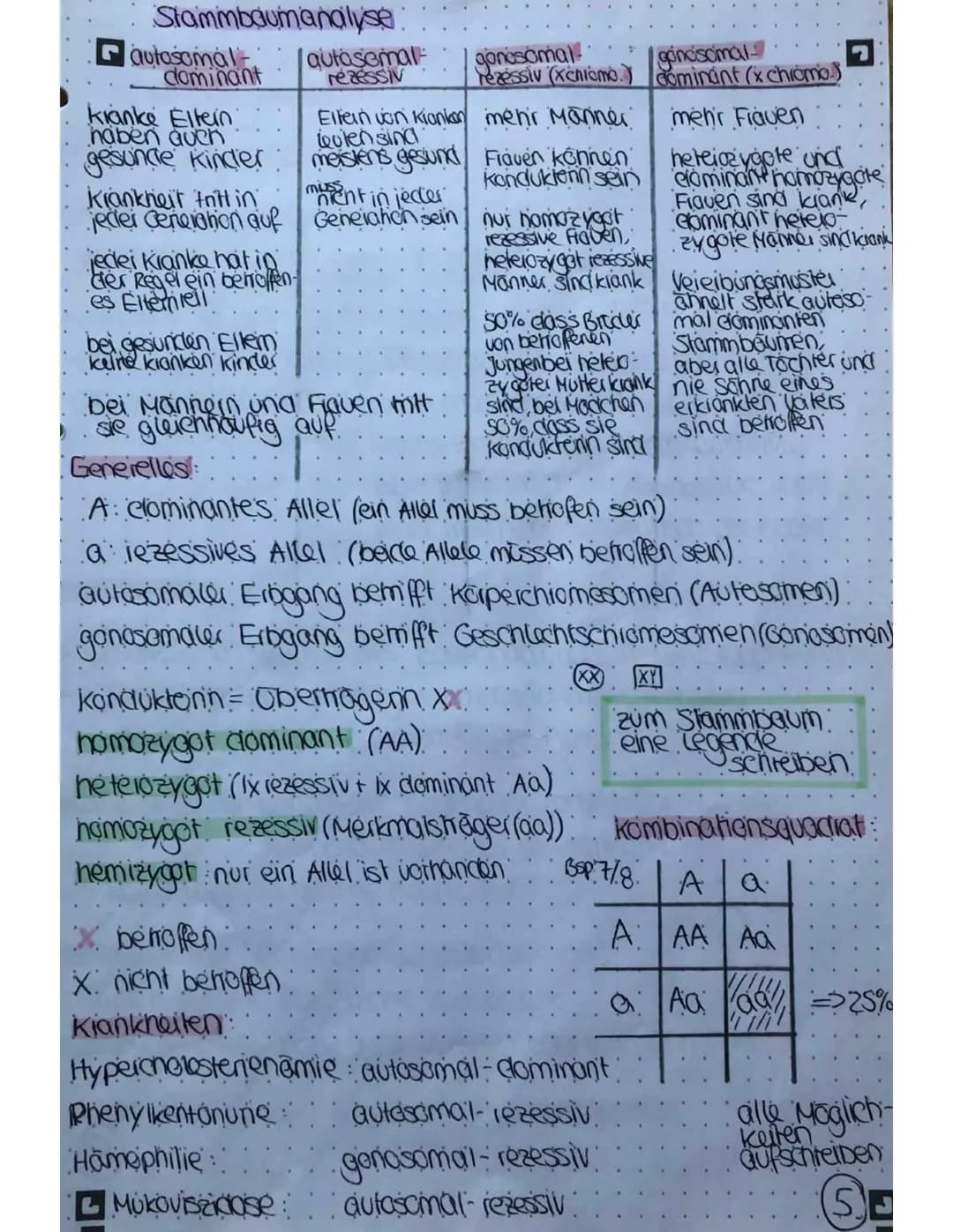 Meiose und Mitose
Mitose
Plophase
Chromosomen verkürzen und verdichten sich
Cennomere gehen auseinander
Prometophase:
Keinholle zeifällt:
Sp